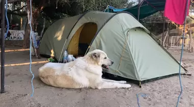 Esen Kamping