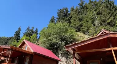 Yeşil Vadi Otel Atonun Yeri Bungalow Şavşat Evleri