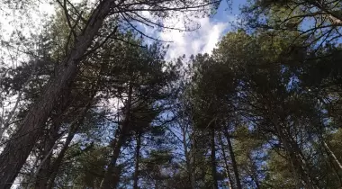 Avdanaltı Mesire Yeri