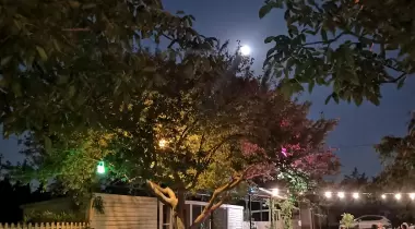 Kampüs Doğal Yaşam