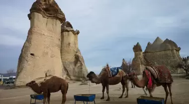 Paşabağları Müze ve Örenyeri