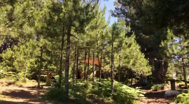 Uludağ Kamping