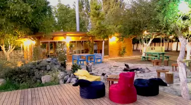 Kampüs Doğal Yaşam