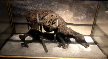 Çankırı Tuz Mağarası