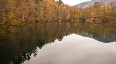 Yedigöller Milli Parkı