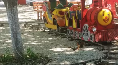 Göl eğlence camping