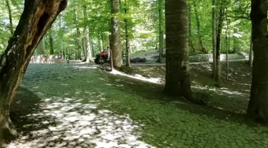 Yedigöller Milli Parkı