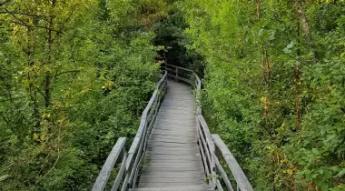 Kastamonu Ilıca Şelalesi