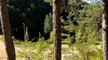 Avdanaltı Mesire Yeri