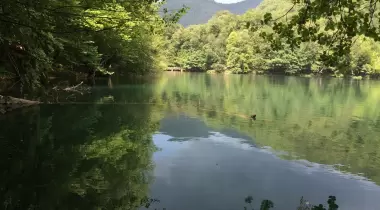 Yedigöller Milli Parkı