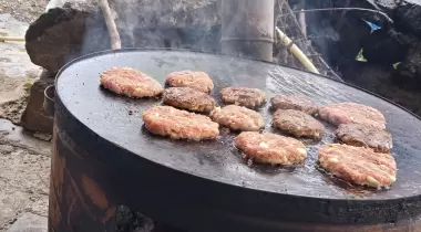 Forest view Camping