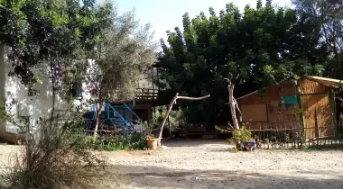 Kabak Kamp Dionysos