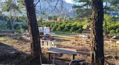 Forest view Camping