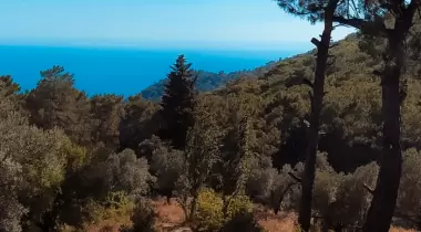Ölüdeniz Orman Kampı