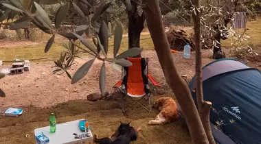 Ölüdeniz Orman Kampı