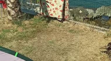Yemişkumu Kamping