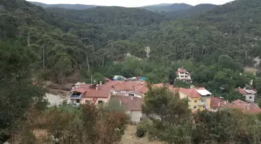Çamlıca Tabiat Parkı