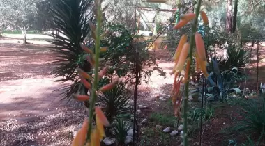 Ölüdeniz Doğa Kamp