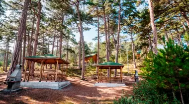 Çamlıca Tabiat Parkı