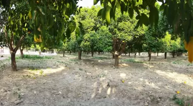 Defne MO Camping