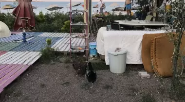 MayaKamp