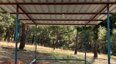 The King Of Likya Camping