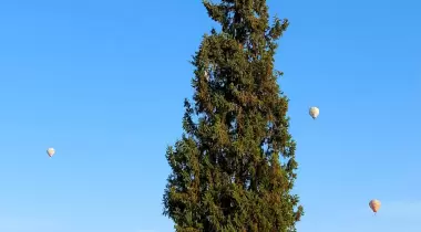 Manzara Camping