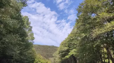 Saklı şelale kamp alanı