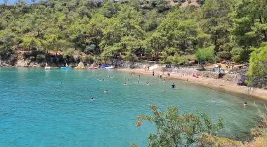 Katrancı Orman Kampı