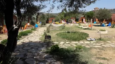 Şahmat Kamp