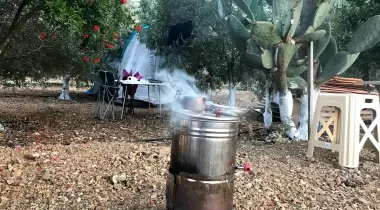 Zeytin Camping ve Apart Evleri