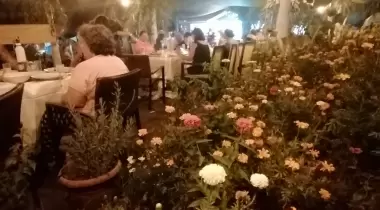 ÇAYLI CAMPİNG