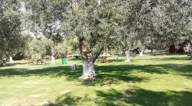 Huzur Camping