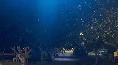 Gizli Bahçe Camping