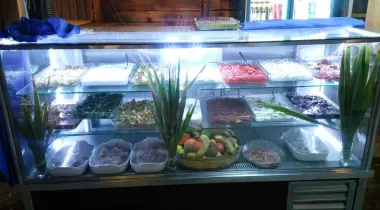 Şahmat Kamp