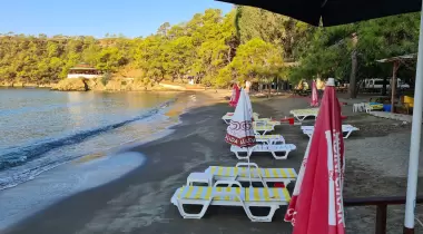 Katrancı Orman Kampı