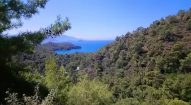 Katrancı Orman Kampı