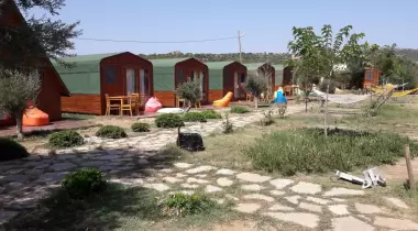Şahmat Kamp