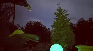 Planet Caravan (private only)