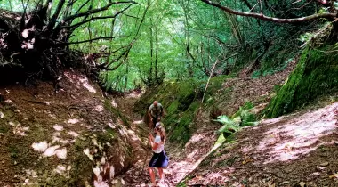Zest For Life Eco Camp Kartepe