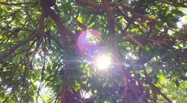 Mandalina Camping