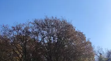 Camprail Kamp ve Doğa Hayatı