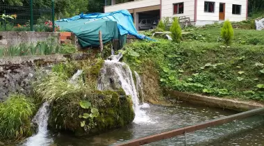 Sülüklü Göl Kamp