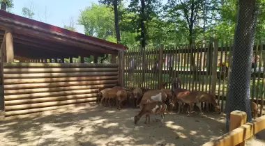 Ormanya Karavan kamp
