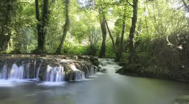 Saklı şelale kamp alanı
