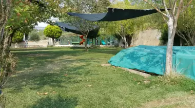 Tepe Camping