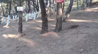 Murat Reis Çamlık Camping