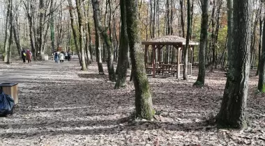 Ormanya Karavan kamp