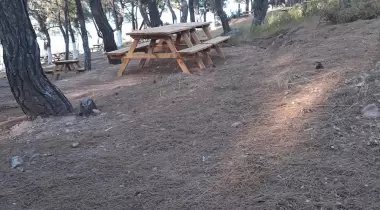 Murat Reis Çamlık Camping