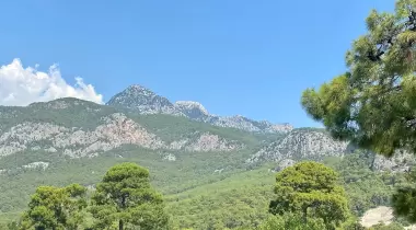 Mandalina Camping